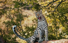 TOS travel and tours3