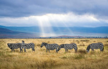 TOS travel and tours6