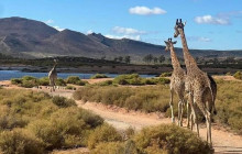 TOS travel and tours7