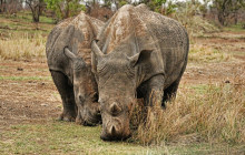 TOS travel and tours10