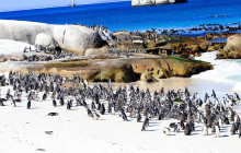 TOS travel and tours1