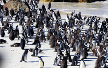 TOS travel and tours2