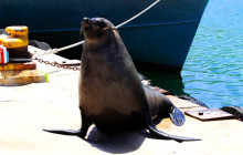 TOS travel and tours5