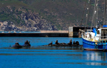 TOS travel and tours6