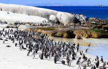 TOS travel and tours17