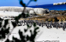 TOS travel and tours18