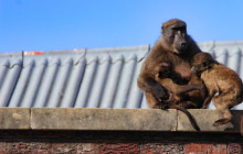 TOS travel and tours19