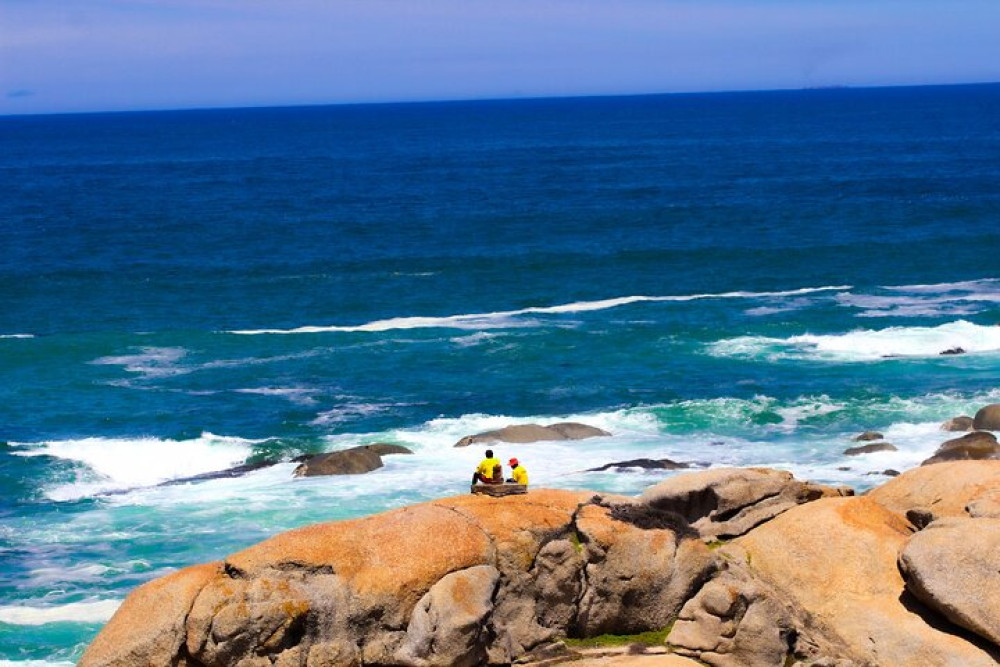 Private Cape Town Table Mountain and Peninsula Tour