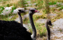 TOS travel and tours12