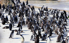 TOS travel and tours19