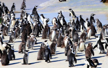 TOS travel and tours21