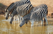 TOS travel and tours5