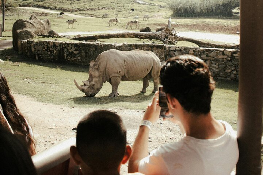 Private Wine Tasting and Aquila Sunset Safari