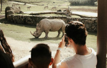 TOS travel and tours1