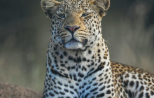 TOS travel and tours9