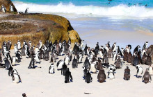 TOS travel and tours4