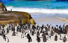 TOS travel and tours5