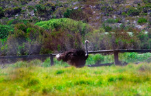 TOS travel and tours11