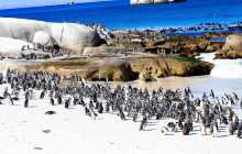 TOS travel and tours18