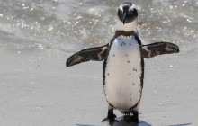 TOS travel and tours7