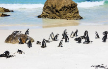 TOS travel and tours10