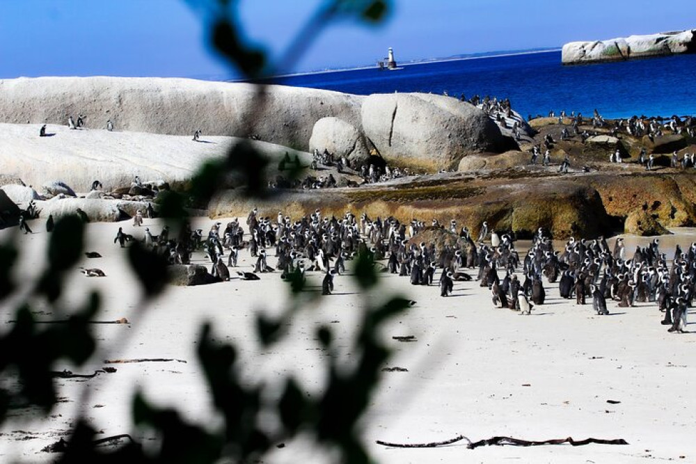 TOS travel and tours