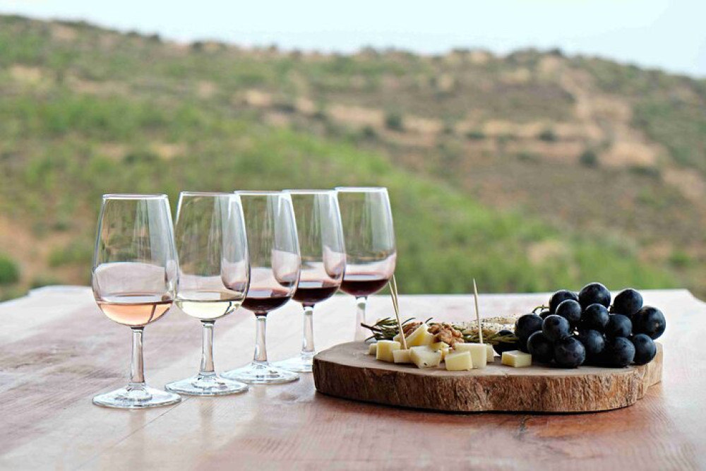 All Inclusive Private: 20 Glasses Full Day Wine Tour in Cape Town