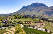 TOS travel and tours3