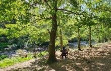 Oporto Mountain Tour18