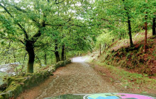 Oporto Mountain Tour21