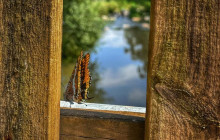 Oporto Mountain Tour24