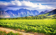 Climb Table Mountain2