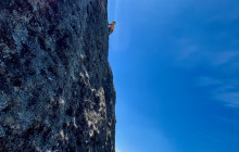 Climb Table Mountain7