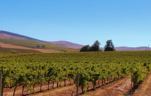 Climb Table Mountain13