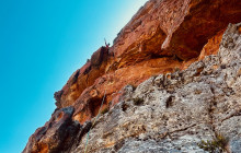 Climb Table Mountain5