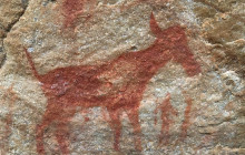 Climb Table Mountain7