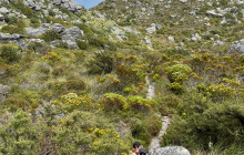 Climb Table Mountain10