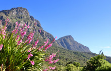 Climb Table Mountain18