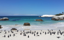 Climb Table Mountain5