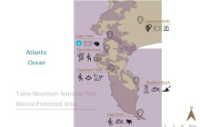 Climb Table Mountain8