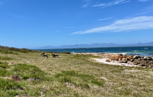 Climb Table Mountain12