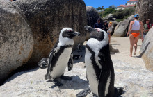 Climb Table Mountain13