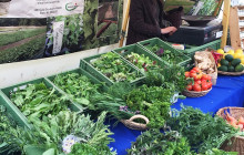 EAT LIKE A BERLINER10