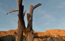 Climb Table Mountain6