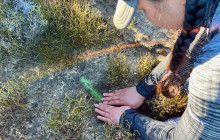 Climb Table Mountain11