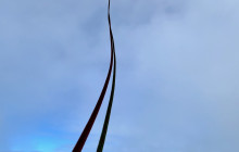 Climb Table Mountain14