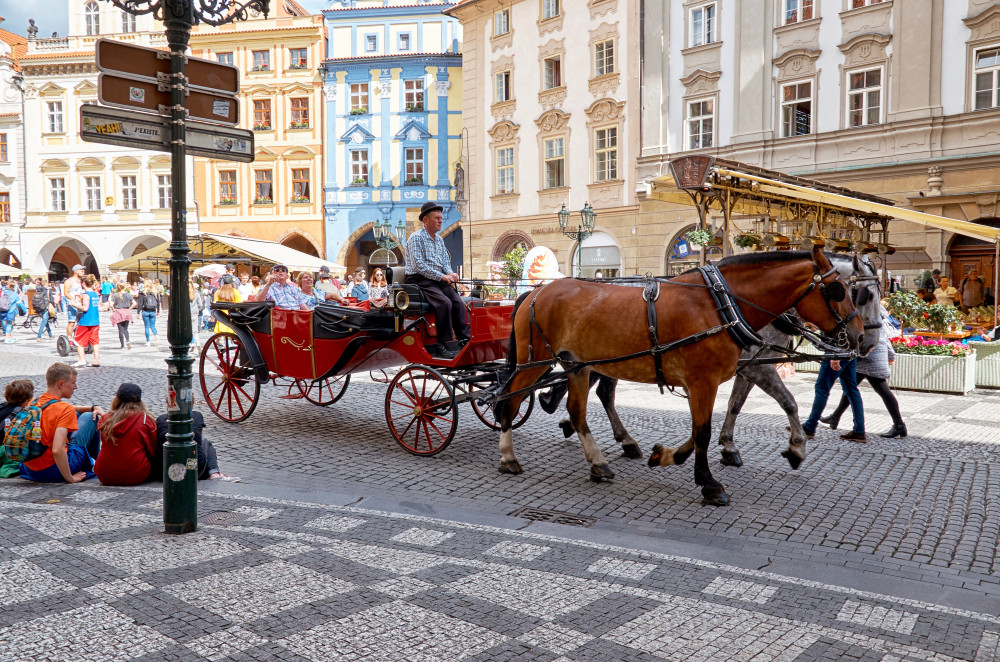 Old and Jewish Town & Entrance Ticket with Spanish Guide