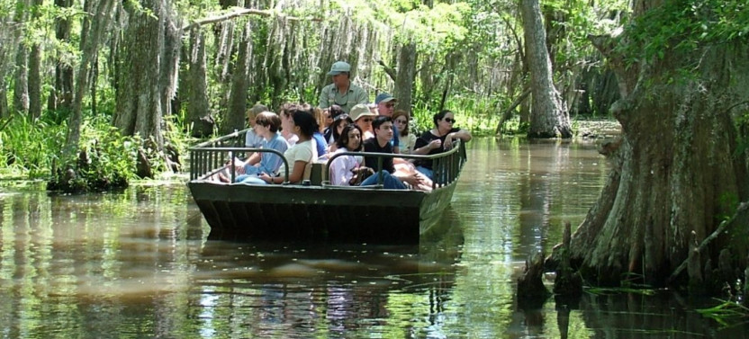 Honey Island Swamp Boat Tour