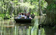 Honey Island Swamp Small Boat Tour