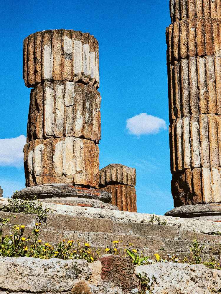 Naples: Pompeii & Herculaneum Shared Small Group Tour
